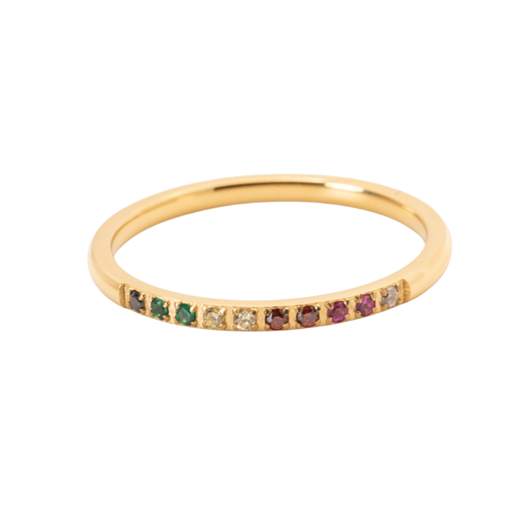 Anillo Círculo de Vida